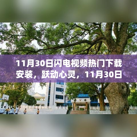 11月30日閃電視頻,領略學習變革的魔力之旅