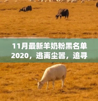 羊奶粉黑名單揭秘，追尋心靈寧靜之旅的別樣風情