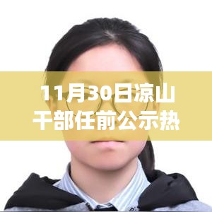 涼山干部任前公示操作指南，從零起步到公示完成全解析
