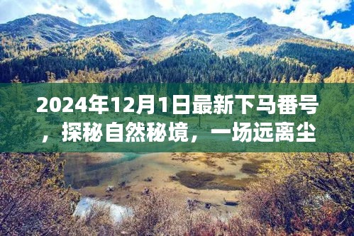 探秘自然秘境,啟程于2024年心靈之旅的冒險號角