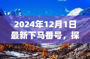 探秘自然秘境,啟程于2024年心靈之旅的冒險號角