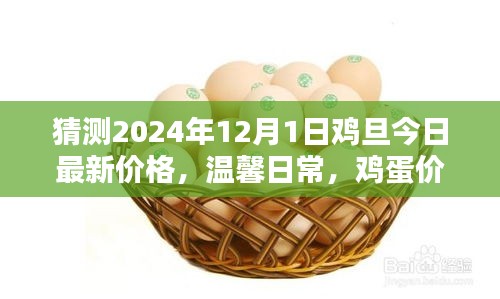雞蛋價(jià)格之謎，探索2024年最新價(jià)格與友情的紐帶