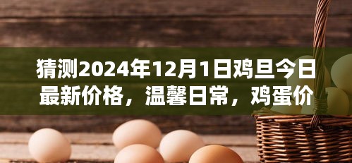 雞蛋價格之謎,探索2024年最新價格與友情的紐帶