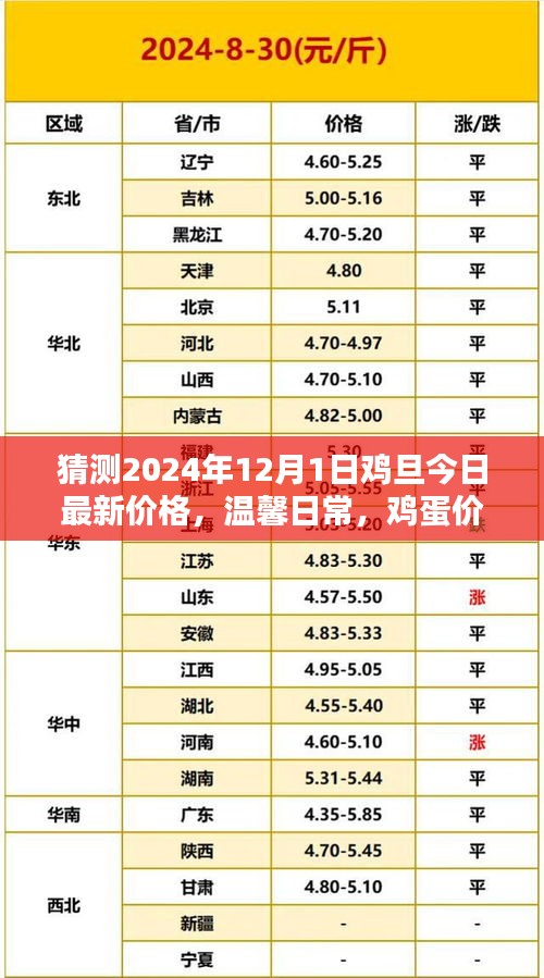 雞蛋價格之謎,探索2024年最新價格與友情的紐帶