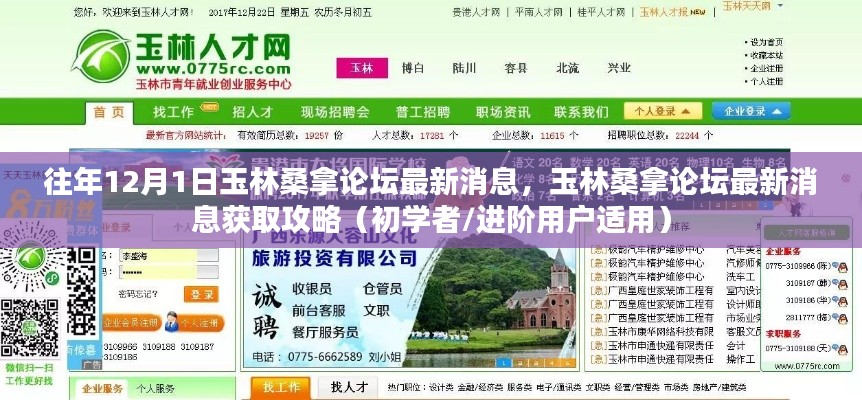 往年12月1日玉林桑拿論壇最新消息全解析，獲取攻略初學者與進階用戶必讀