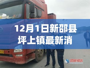 新邵縣坪上鎮最新動態報道,深度解析十二月一日最新消息