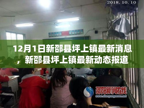 新邵縣坪上鎮最新動態報道,深度解析十二月一日最新消息