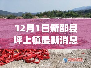 新邵縣坪上鎮最新動態報道,深度解析十二月一日最新消息