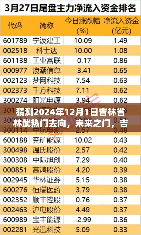 吉林林武未來展望,揭秘2024年熱門去向與奇妙之旅的溫馨歸宿