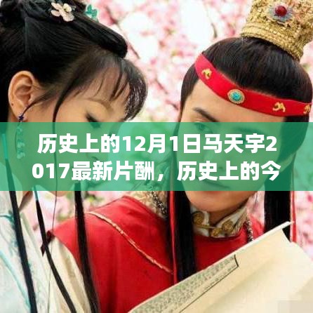 歷史上的今天，揭秘馬天宇勵(lì)志片酬之旅見(jiàn)證智慧與力量的蛻變