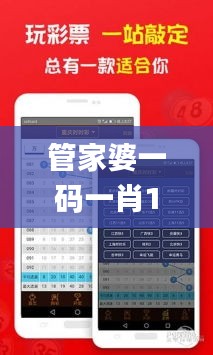 管家婆一碼一肖100準335期,系統評估分析_DPR41.240影音體驗版