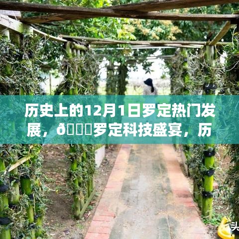 ??羅定科技盛宴，歷史上的12月1日羅定熱門發(fā)展新品重磅來(lái)襲回顧與前瞻
