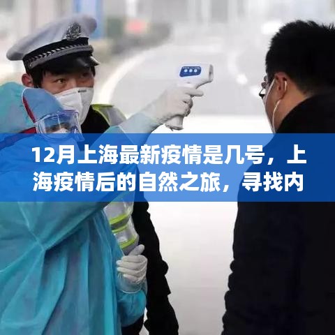 上海疫情后的自然之旅,尋找內(nèi)心的寧靜與力量之旅(最新疫情動態(tài))