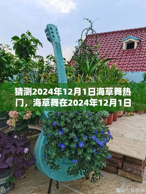 2024年12月1日海草舞流行趨勢預測,熱門舞蹈風潮再起