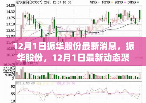 振華股份最新動態聚焦,12月1日消息一覽