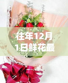往年12月1日鮮花最新包裝圖片探析，視覺盛宴的背后利與弊