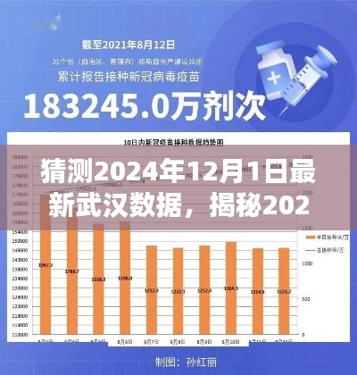 揭秘武漢未來，深度分析與預測，預測武漢最新數據至2024年12月1日揭曉！