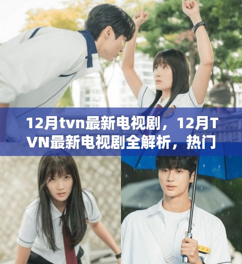 12月TVN新劇全解析，熱門新劇一網(wǎng)打盡