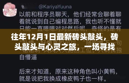 尋找內心平靜的奇妙冒險,磚頭敲頭與心靈之旅