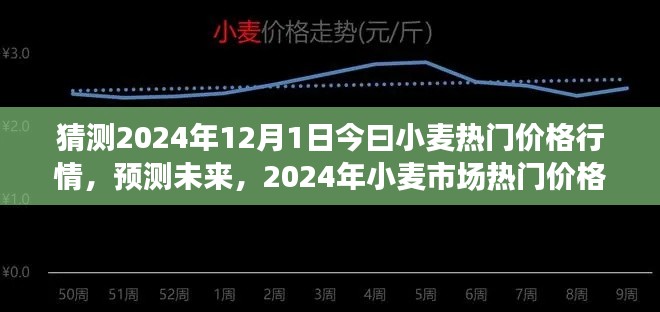 2024年小麥市場熱門價格行情預測及分析