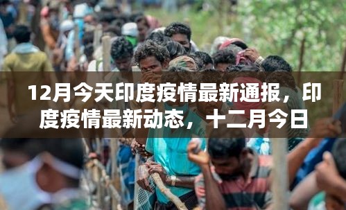 囫圇吞棗 第5頁