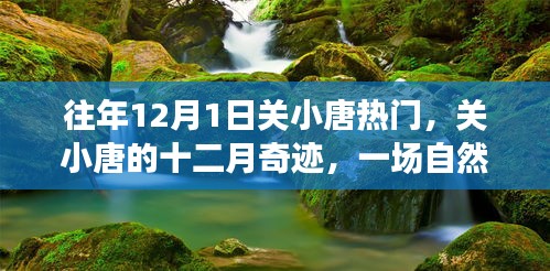 關小唐的十二月奇跡,自然美景治愈之旅,熱門話題揭秘
