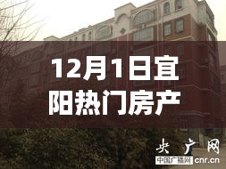 宜陽熱門房產(chǎn)的溫馨故事與家園奇遇——12月1日的探索之旅