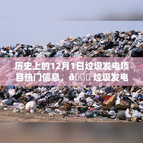 揭秘垃圾發電項目的科技魅力與最新體驗，歷史上的12月1日垃圾發電項目熱門信息回顧與前沿展望