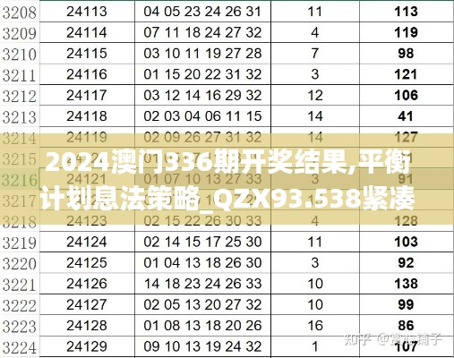 2024澳門336期開獎結(jié)果,平衡計劃息法策略_QZX93.538緊湊版