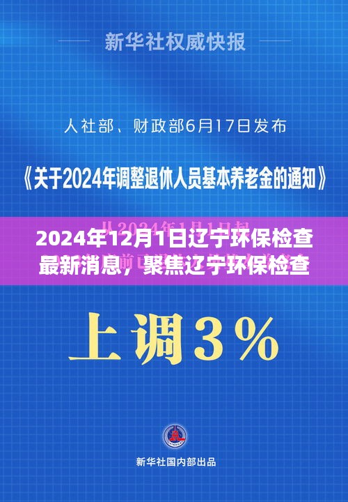聚焦遼寧環保檢查最新動態與解讀（2024年12月版）