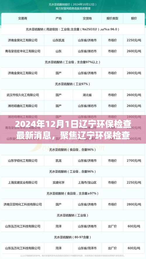 聚焦遼寧環保檢查最新動態與解讀(2024年12月版)