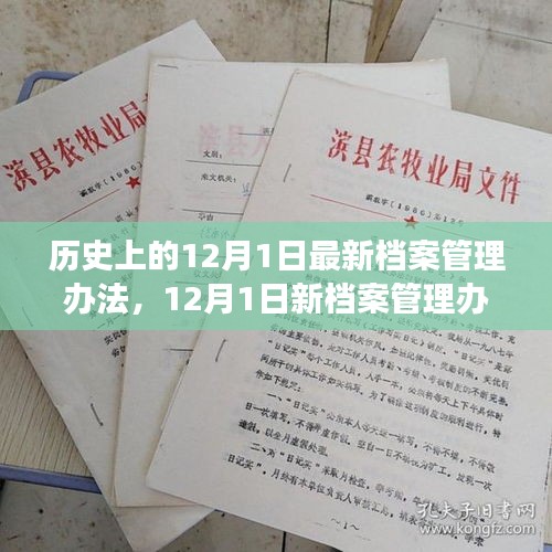 建議，新檔案管理辦法出臺，心靈與自然美景之旅啟程