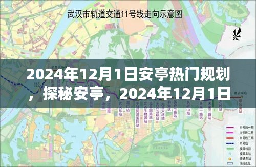 探秘安亭,2024年12月1日巷弄新發現——安亭熱門規劃之特色小店隱于小巷