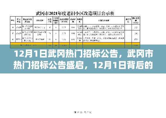 揭秘武岡市熱門招標公告背后的故事與影響，12月1日盛啟