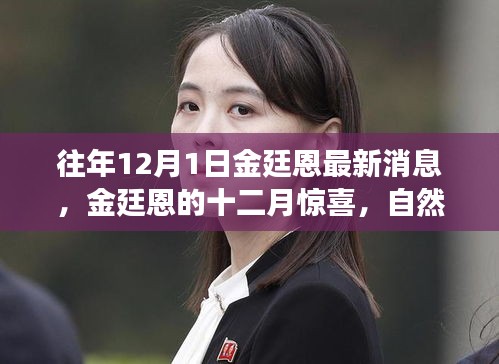 金廷恩十二月驚喜之旅,心靈啟示與自然美景的交融時刻