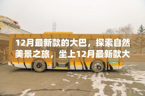 坐上最新款大巴，開(kāi)啟自然美景探索之旅，尋找內(nèi)心的寧?kù)o與平和