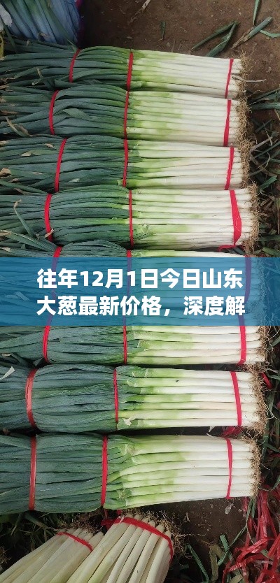 宵衣旰食 第5頁