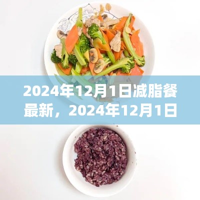 最新減脂餐指南,健康瘦身,美味生活從餐桌開(kāi)始(2024年12月版)