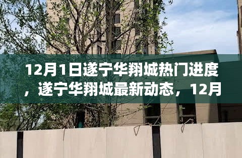 遂寧華翔城12月1日最新動態及熱門進度全解析