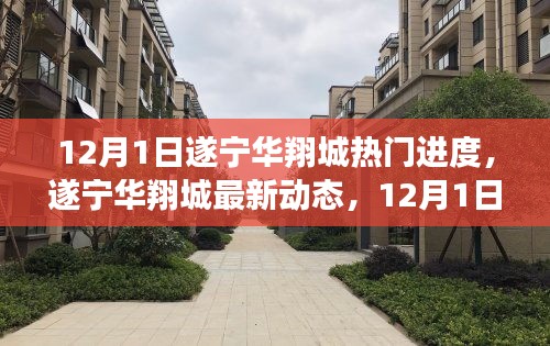 遂寧華翔城12月1日最新動(dòng)態(tài)及熱門(mén)進(jìn)度全解析