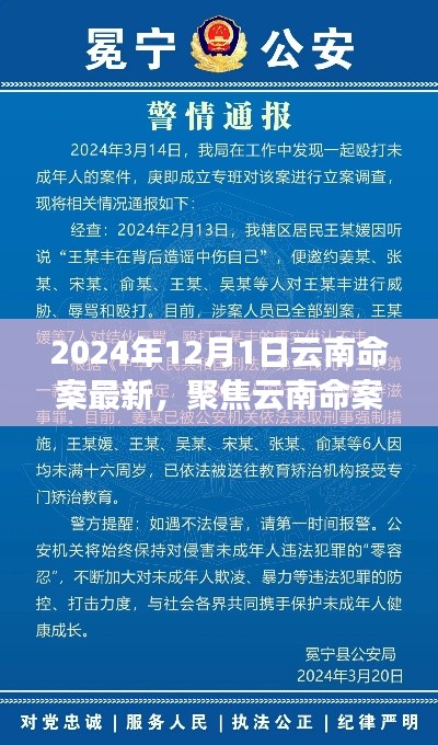 聚焦云南命案，最新進展與深度解讀（2024年12月版）