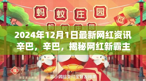 揭秘網紅霸主辛巴，小紅書最新資訊揭秘其背后的故事（2024年12月）