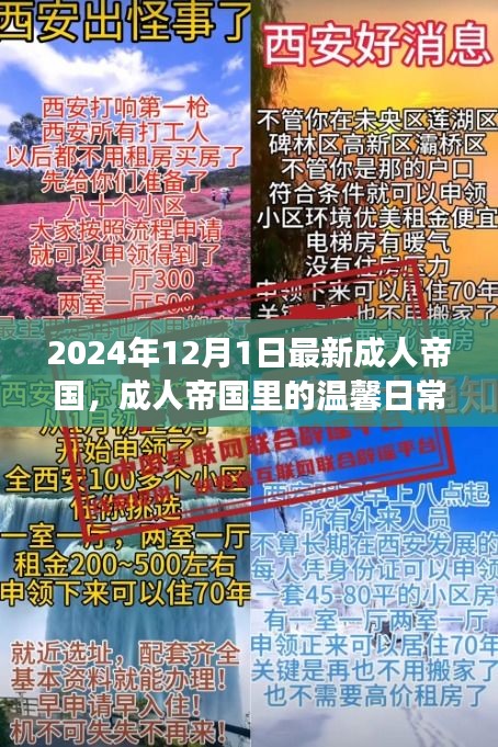 成人帝國里的溫馨日常，陽光故事2024年12月1日