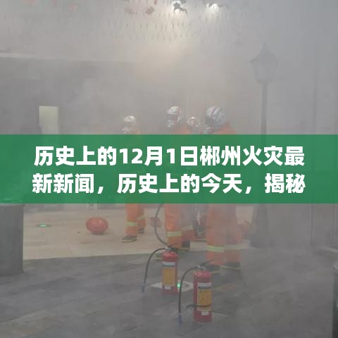 揭秘郴州火災背后的故事,歷史上的今天回顧與最新新聞報道