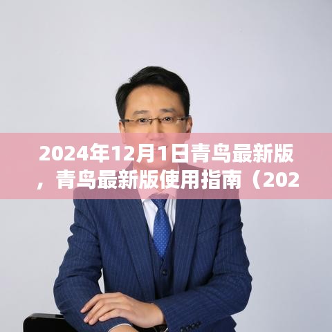 青鳥最新版使用指南（2024年12月版），初學者與進階用戶指南共鑒