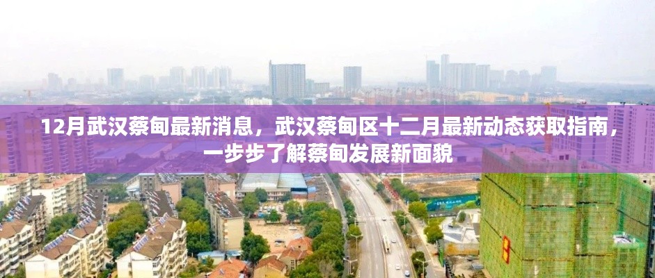 武漢蔡甸區十二月最新動態全解析,發展面貌大揭秘