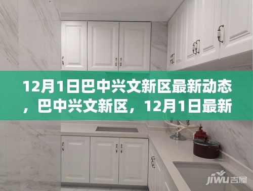 巴中興文新區，12月1日最新動態揭示未來發展潛力及展望