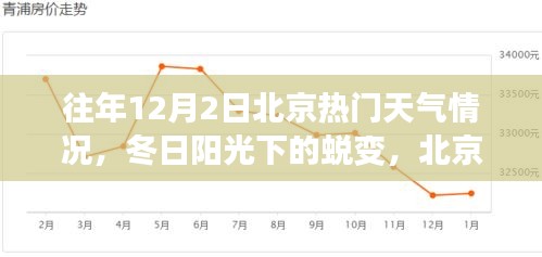 北京往年12月2日冬日陽光下的學(xué)習(xí)之旅與自信起航,天氣回顧與蛻變時刻