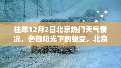 北京往年12月2日冬日陽(yáng)光下的學(xué)習(xí)之旅與自信起航,天氣回顧與蛻變時(shí)刻