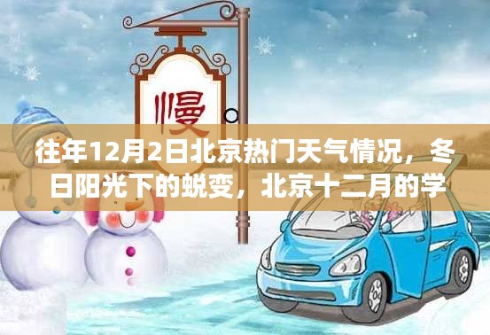 北京往年12月2日冬日陽(yáng)光下的學(xué)習(xí)之旅與自信起航,天氣回顧與蛻變時(shí)刻
